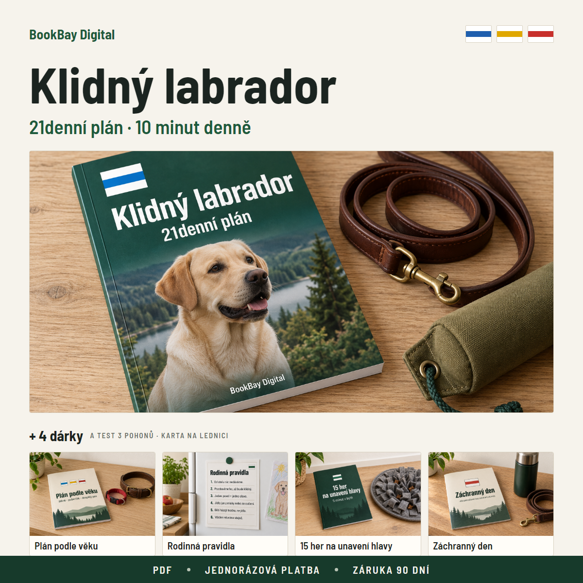 Klidný labrador